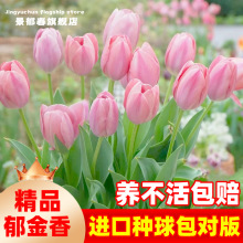 �M��������N��5�����ذ�ΰ�N�ӷ�ɫˮ���������Ե��Ժ�Խ���