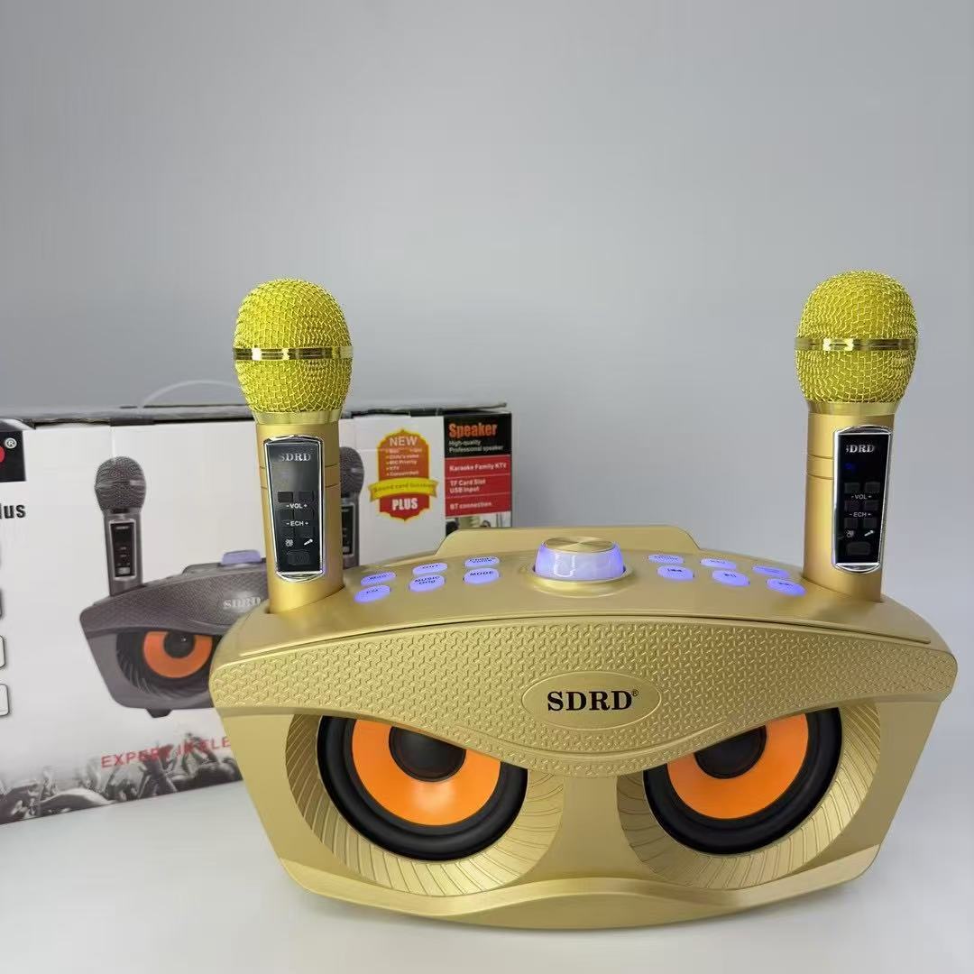 Sd306Plus Bluetooth Audio Wireless Dual Microphone Karaoke All-In-One Machine Family Kidsren Ktv Singing