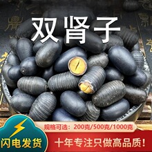 双肾子中药材石莲子龟头子新货无硫熏石莲子包邮店有阴阳子风流果