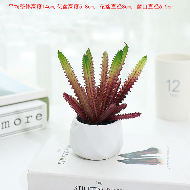 Vino rojo gran cuenca de diamante columna de otoño ☆