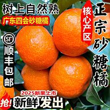 �ĕ�ɰ���ٽ��Ӯ���ɳ�ǽ�ˮ������Y���b�羳���S؛Դ��������l