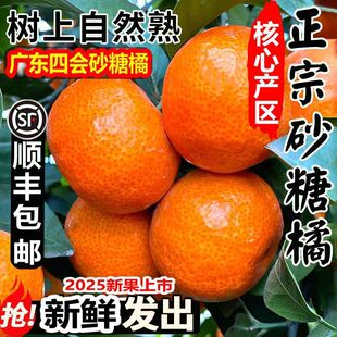 �ĕ�ɰ���ٽ��Ӯ���ɳ�ǽ�ˮ������Y���b�羳��؛Դ�