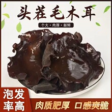 大木耳特大朵特厚木耳商用干货火锅食材新鲜蔬菜无干燥剂人工木耳