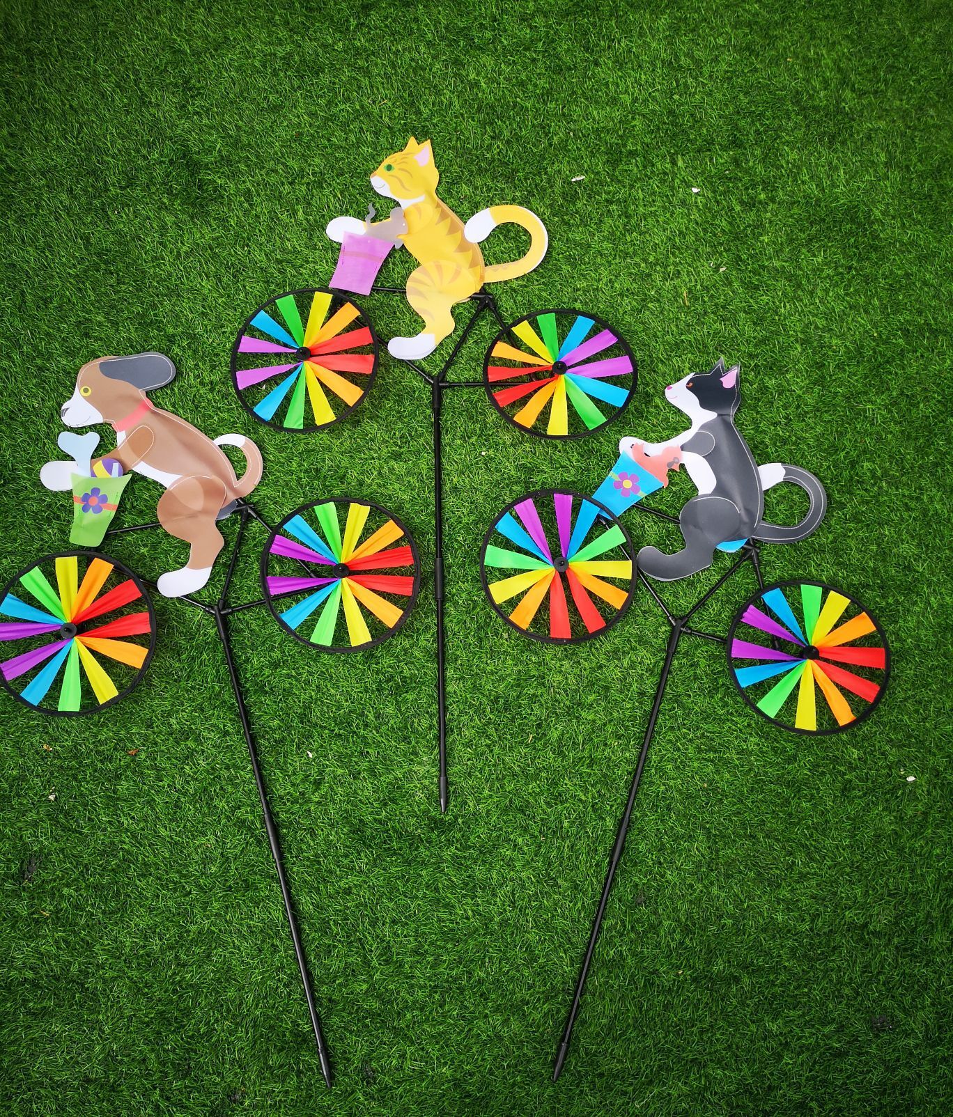 QQ图片20210624101242