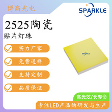 2525�մ�1.0W���b���� 2700-6500K�����͹�˥�o�۹�Դ