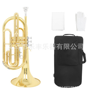 SLADE���M̖���I���I���M�A̖�S�~���w��𘷈F�����A̖����