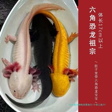 ���ǿ���ϔ������ˮ��ˮ�^�p�~���~���B���~�o����������~�Ї�