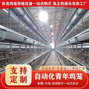 自动化青年鸡笼多层阶梯式蛋鸡笼鸡笼子加粗养殖笼具热镀锌鸡笼养-阿里巴巴
