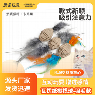 Cat Toy Corrugated Paper Feather Series Cat Toy Rubbing Claw Hair Self-Hei-Hei-Hei Funny Cat Toy Pet Supplies