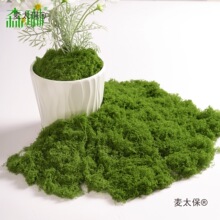 ����̦�\�쾰����̦ë����Ƥ�Gֲ΢���^ֲ���b������������̫��