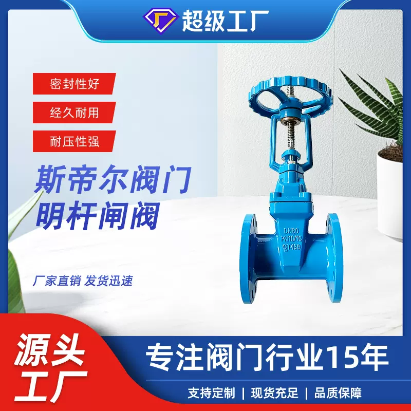 明杆闸阀球墨铸铁法兰闸阀 软密封弹性座封防护阀门厂家Z41X-16Q