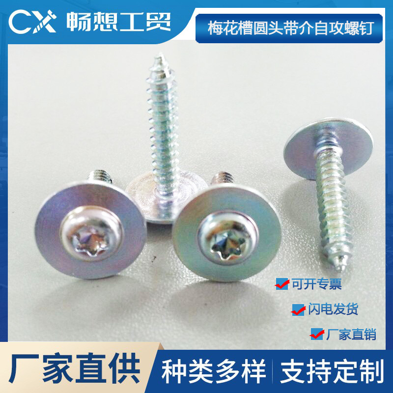生产十字圆头带介子自攻螺丝 带垫自攻尖尾螺丝 十字圆头带垫螺钉