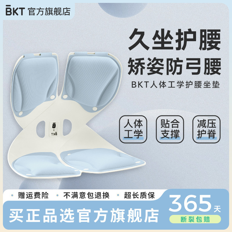 Bkt Posture-Correcting Lumbar Support Cushion, Posture Correction Chair, Lumbar Pillow Support, Smart Sofa for Prolonged Sitting, Modern and Minimalist