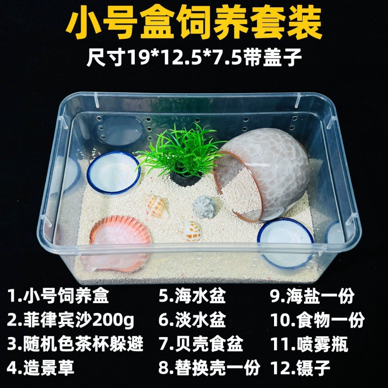 Сухопутный раковина-краб-питомец, пресноводный, ягодный короткий запястье, фиолетово-серый-белый тёмно-фиолетовый декоративный краб, ленивый питомец, набор для новичков