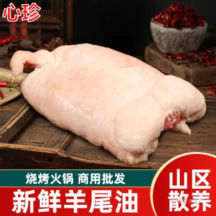 ������β�����r������������β�͟���ʳ�Ļ��������������l