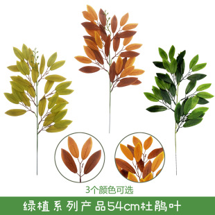 ����ֲ����N�~��c�Ҿ��b��ϙ��~ɭϵ�Gֲ����[���~�����l���Q