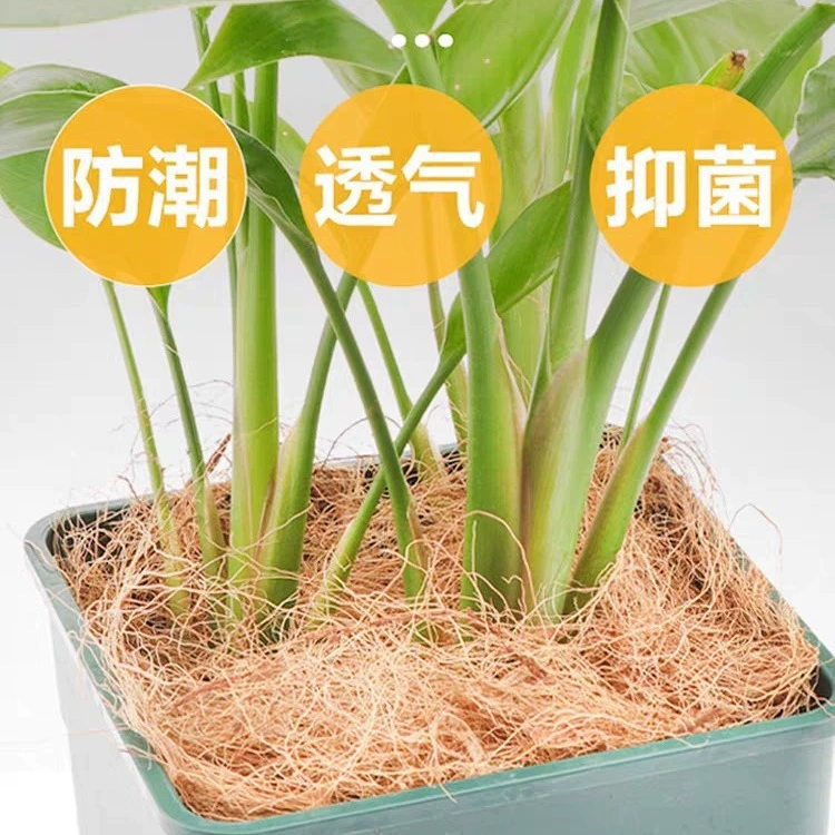 Натуральное кокосовое шелковое волокно Цветочный горшок Декоративное мощение