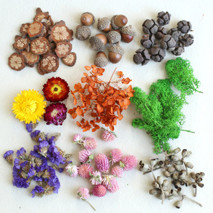 �ɻ��滨���ϰ�����ֲ��˱���޹Ϟ�T�����ֹ�diy����M����õ��