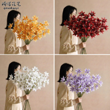��c�p�ӰٺϷ��滨��Y���T·���廨��ˇ�ٻ�diy������ꐲ��û�