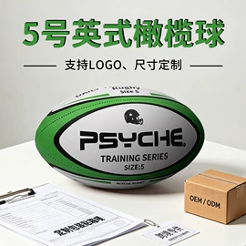 篮球;足球;排球