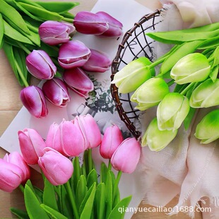 �������ָб�����������滨�Ҿ��b��辰�廨�ٻ��zӰ�������l