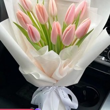 郁金香鲜花云南昆明斗南市场基地直发花直批水养水培花束家用插花