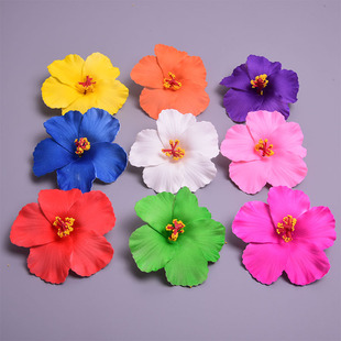 �F؛10cm��ɣ���l�A���滨�ll����c�b�Ʒ�^���^Ҿ���Ʒ