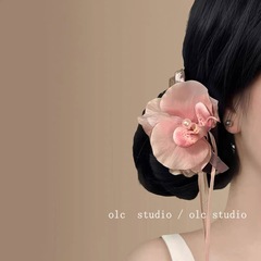 2025オリジナルの春の日の新型の甘い気質の花の髪はピンクの胡蝶の蘭のフリンジのリボンを挟みます。