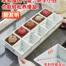 美莳控根多肉花盆长条形塑料透气小号方盆和营养土带托盘包邮
