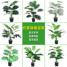 �����辰�͏d�b�������ϼٻ��[�O��ֲ��С������GֲС���Խ���