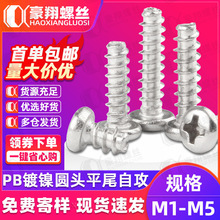 PB����ʮ����ͷƽβ�Թ���˿ԲͷС��˿��ƽβ��˿M1.2/M1.4/M1.6