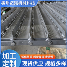 不锈钢链板花生机械输送链板西红柿清洗机网面加工线源头厂家