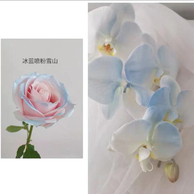 Internet celebridad ciruela negro rosa púrpura flores autopintadas agente de pulverización de color tinte floral spray colorante