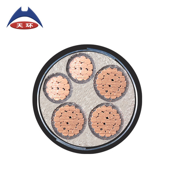 [National standard inspection] Tianhuan armor cable ZR-YJV22…