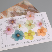 4cm���滨���㻨ͷ���溣�Ļ�����װ��diy���Ͼ����������