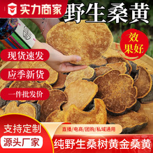 |خaɣSҰɣSș`֥ɢblʳƷrYаb