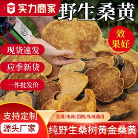 参类滋补品;鹿产品;灵芝