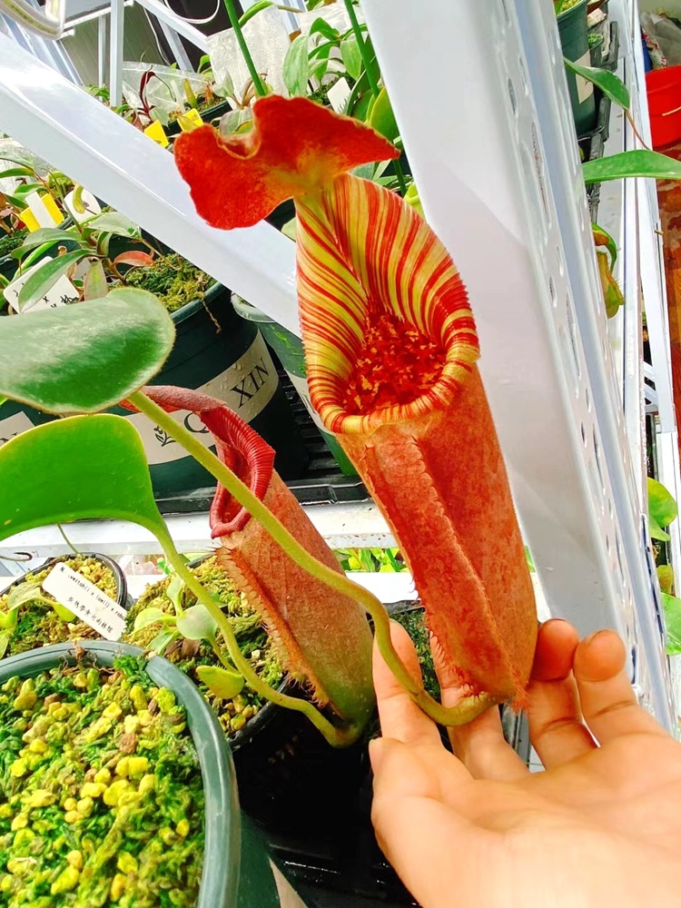 微信图片_20210520114057