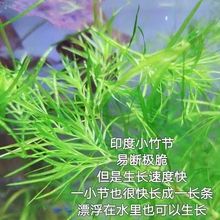 �񹝲�ˮ��ˮ�������ֺ��B�ͻ�������ˮ���~���b��쾰����ˮ��