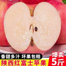 陝西紅富士蘋果新鮮水果整箱5斤包郵脆甜丑平果10冰糖農家應當季