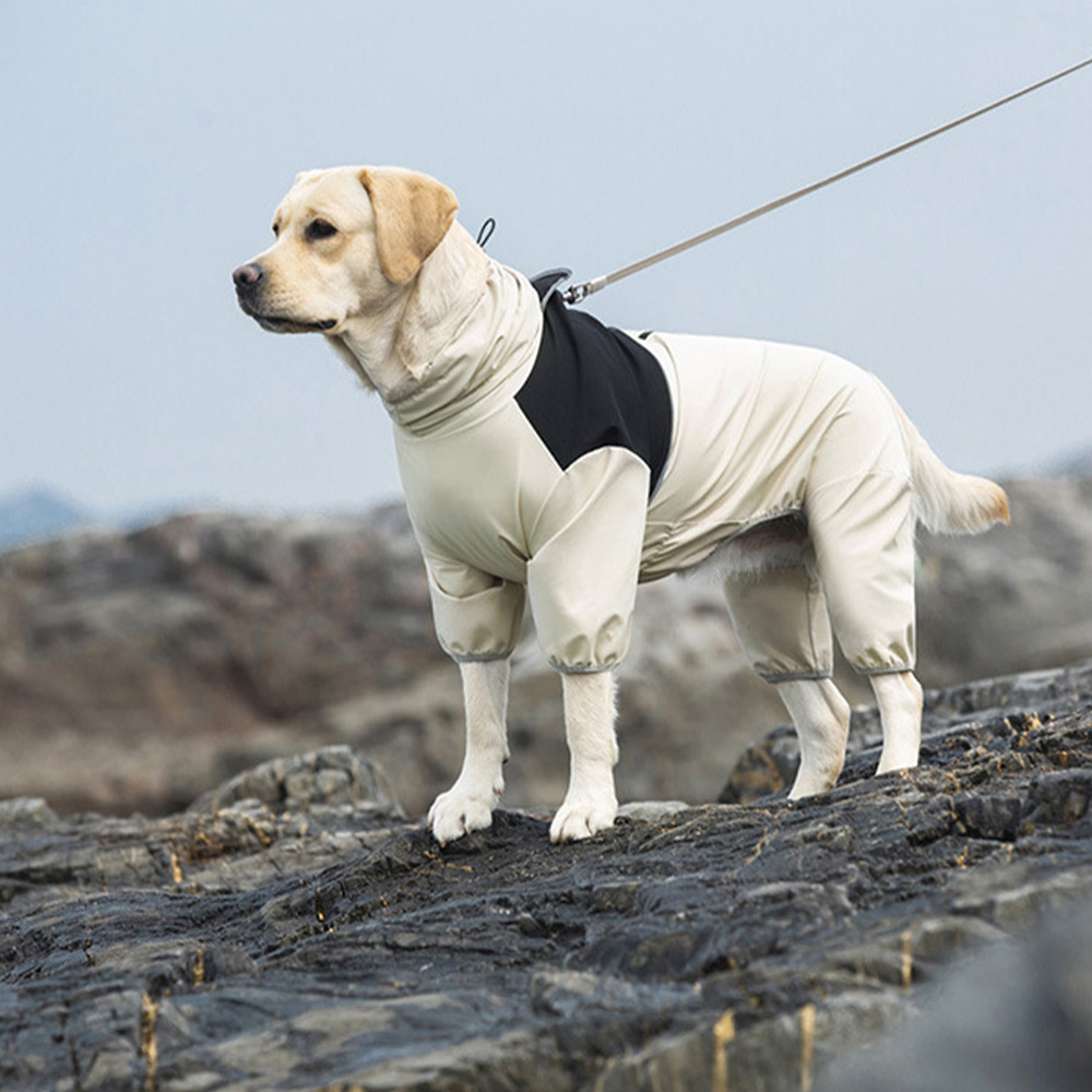 Dog Rain Gear Preview 3