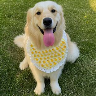 ���ﹷ��ˮ����С�д���Ȯ�����_ĦҮ�ɐ۽�ë��ʿ�氢��˹�Ӈ���