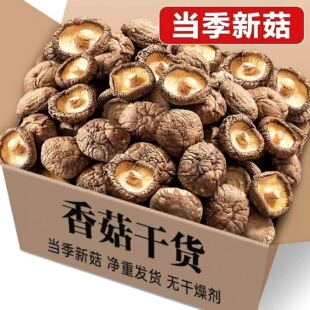 �㹽��؛500g�����ؼ��r�Ҿ��x�Ҝ���Ģ�����b���|�����������㹽