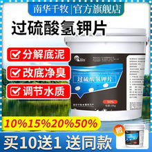 南华千牧过硫酸氢钾复合盐水产养殖改底鱼塘淤泥氨氮净水底改增氧