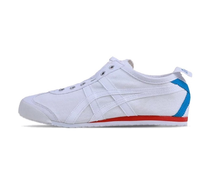 Canvas-white and blue tail