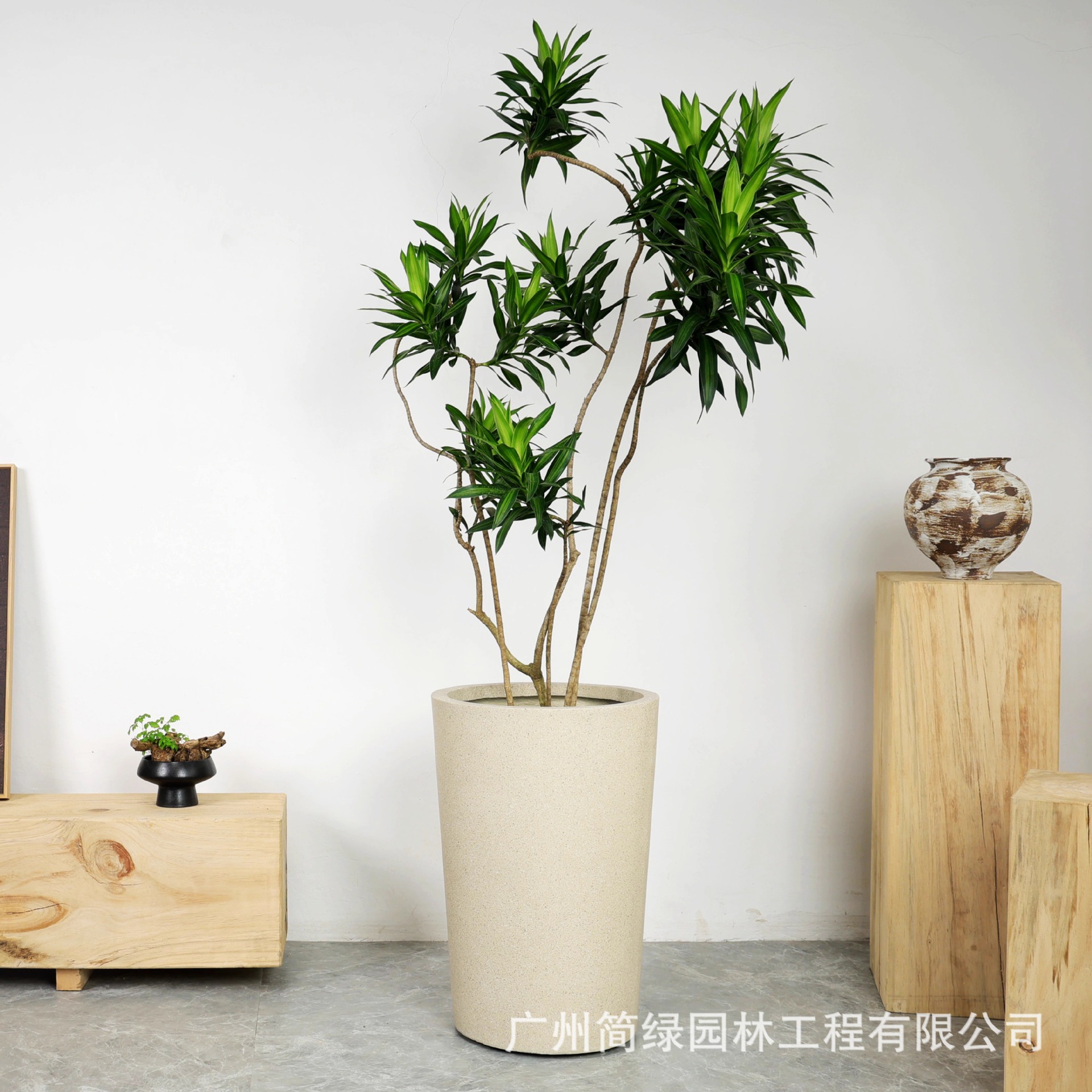 Maceta de barro de magnesio de alta gama de lujo ligero, estilo alto, gran planta verde simple, patio interior, tienda, villa, lavabo de arte de piso