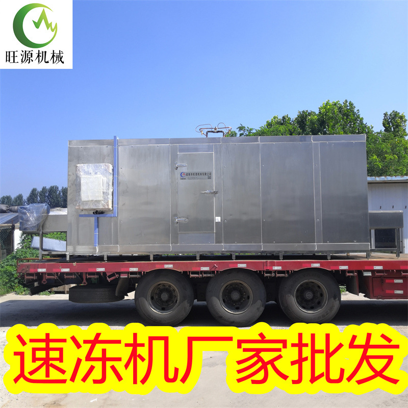 批发大型商用隧道式速冻机 海鲜速冻设备食品厂连续输送速冻机