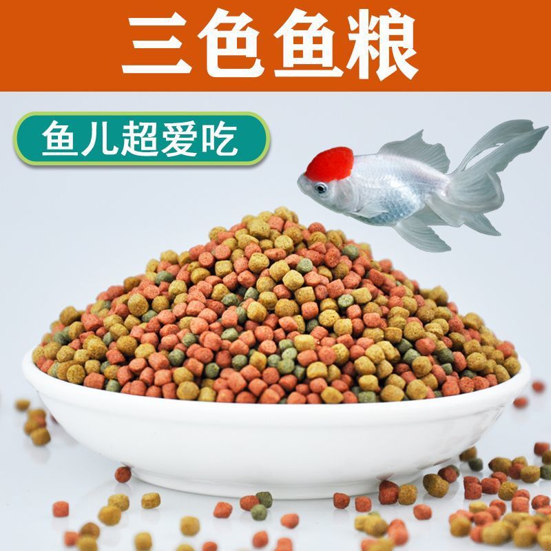 0d9c4cb6-dfd0-4044-8d78-63b9984815de.jpe