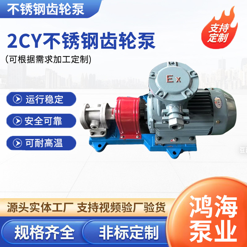 2cy齿轮油泵现货批发不锈钢齿轮泵抽油柴油增压燃油泵防爆高压泵