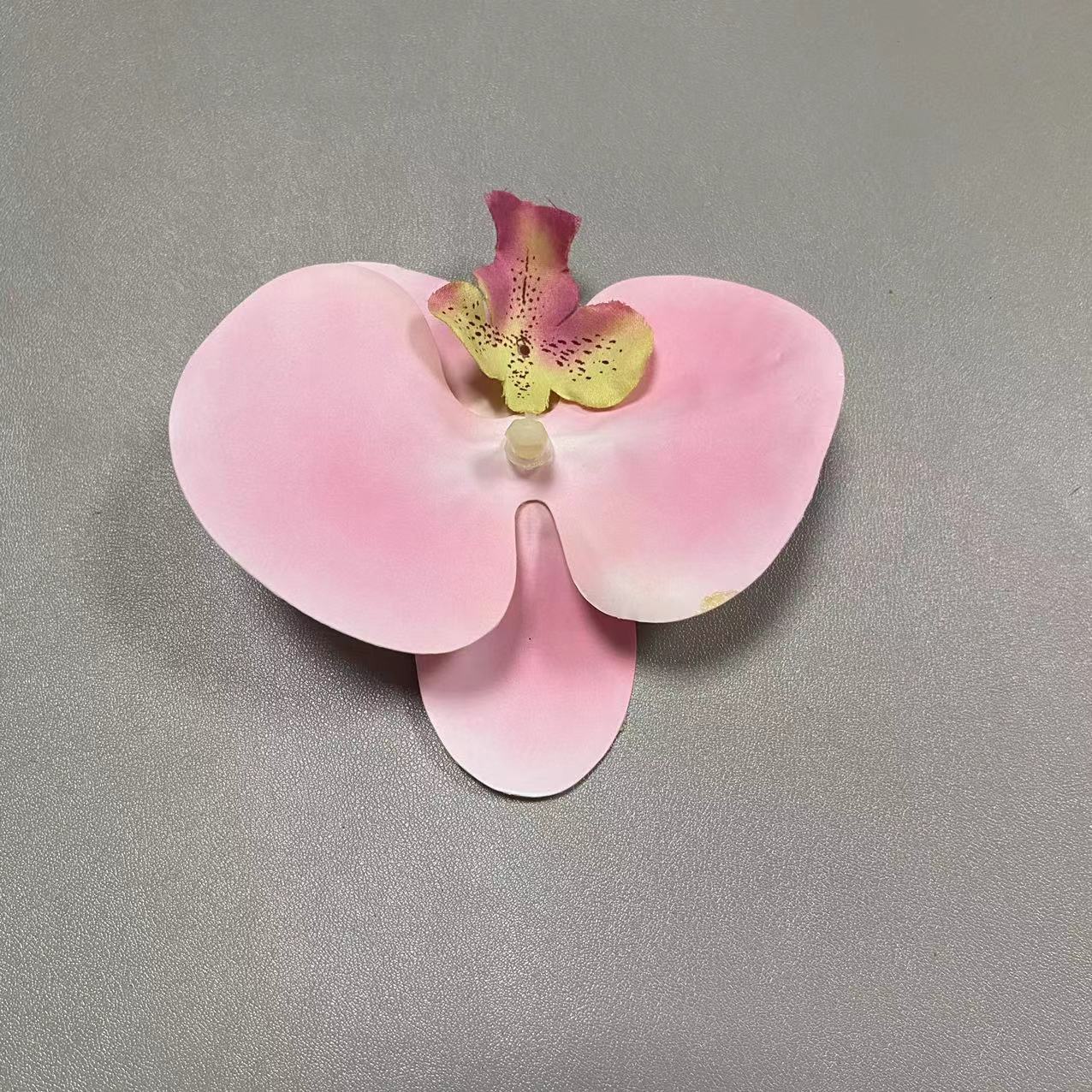 31호